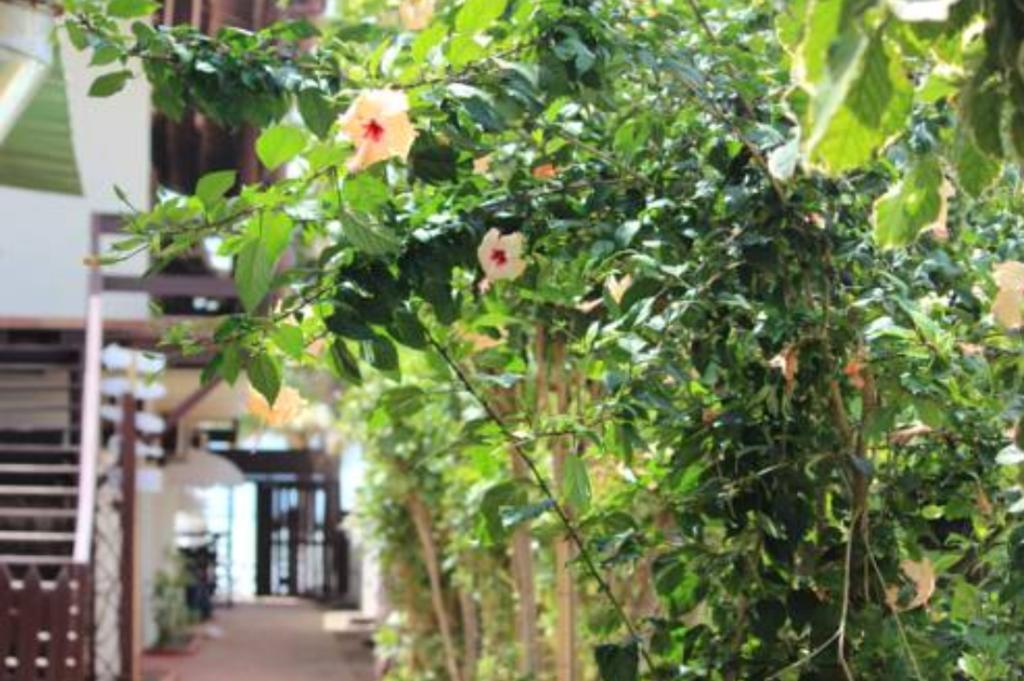Pousada Parador 081 Pôrto das Galinhas Esterno foto